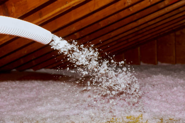 Best Insulation Inspection Services  in Lake City, GA